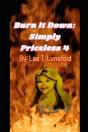 Burn It Down - Preview