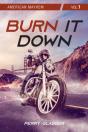 Burn It Down - Preview