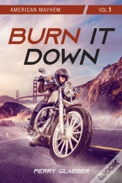 Capa do artigo Burn It Down