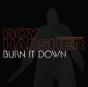 Burn It Down - Vinil - Preview