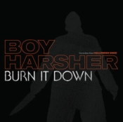 Capa do artigo Burn It Down - Vinil