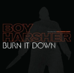 Capa do artigo Burn It Down - Vinil