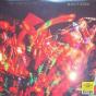 Burn It Down - Vinil - Preview