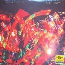 Capa do artigo Burn It Down - Vinil
