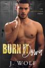 Burn It Down - Preview