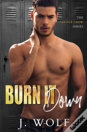 Capa do artigo Burn It Down