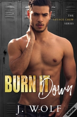 Capa do artigo Burn It Down
