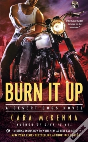 Capa do artigo Burn It Up