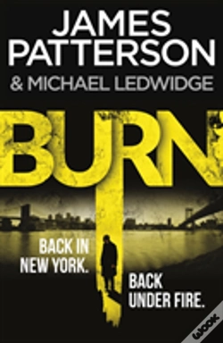 Capa do artigo Burn