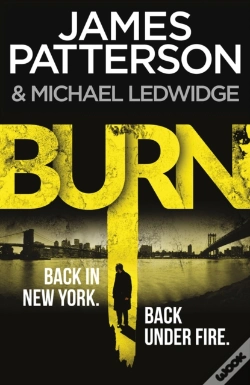 Capa do artigo Burn