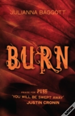 Capa do artigo Burn