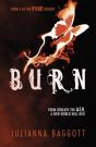 Burn - Preview