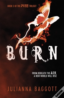 Capa do artigo Burn
