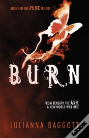 Capa do artigo Burn