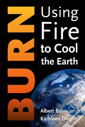 Capa do artigo Burn