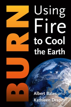 Capa do artigo Burn