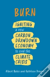 Capa do artigo Burn