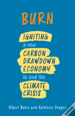 Capa do artigo Burn
