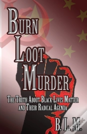 Capa do artigo Burn Loot Murder