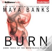 Capa do artigo Burn