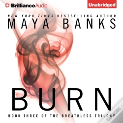 Capa do artigo Burn