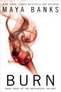 Burn - Preview