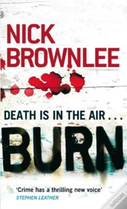 Capa do artigo Burn