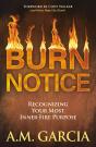 Burn Notice - Preview