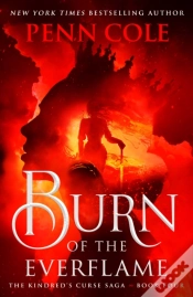 Capa do artigo Burn Of The Everflame