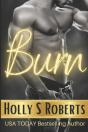 Burn: Outlaw Romance - Preview