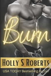 Capa do artigo Burn: Outlaw Romance