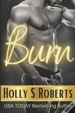 Capa do artigo Burn: Outlaw Romance