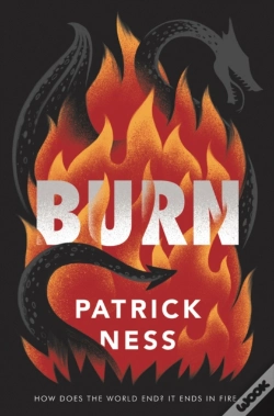 Capa do artigo Burn