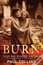 Capa do artigo Burn
