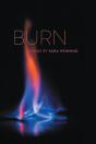 Burn - Preview
