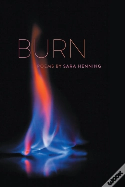 Capa do artigo Burn