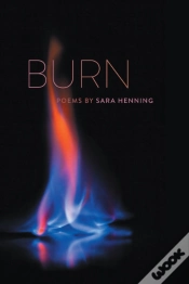 Capa do artigo Burn