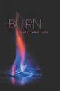 Burn - Preview