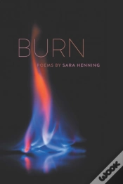 Capa do artigo Burn