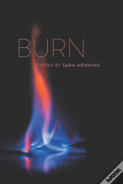 Capa do artigo Burn