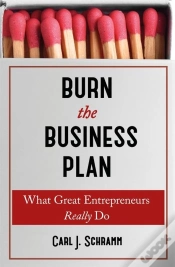Capa do artigo Burn The Business Plan