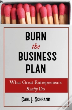Capa do artigo Burn The Business Plan