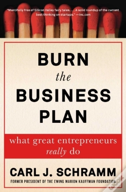 Capa do artigo Burn The Business Plan