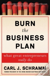 Capa do artigo Burn The Business Plan
