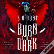 Capa do artigo Burn The Dark