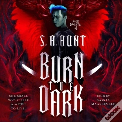Capa do artigo Burn The Dark