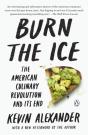 Burn The Ice - Preview