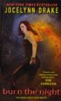 Burn The Night - Preview