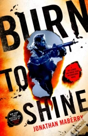 Capa do artigo Burn To Shine