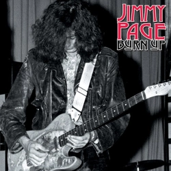 Capa do artigo Burn Up - Vinil